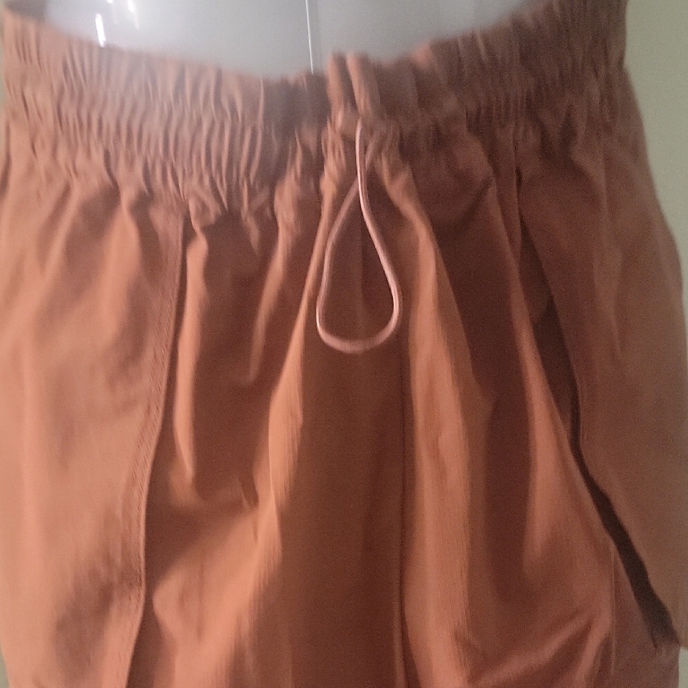 Fabletics Rust Pants - Picture 4 of 6